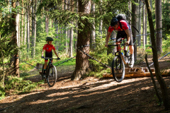 2023-06-25_092725_IMG_6974