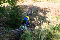 2023-06-25_094055_IMG_6993