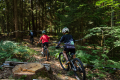 2023-06-25_103229_IMG_7158