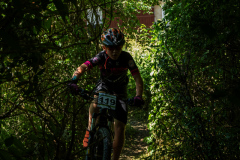 2023-06-25_110153_IMG_7279