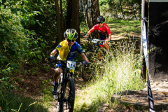 2023-06-25_110229_IMG_7295