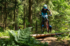 2023-06-25_112712_IMG_7433