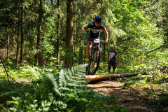 2023-06-25_112722_IMG_7445