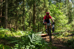 2023-06-25_112727_IMG_7449