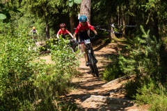 2023-06-25_112914_IMG_7462