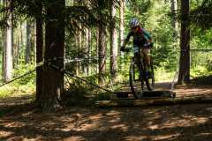 2023-06-25_113330_IMG_7520