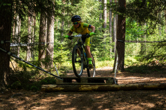 2023-06-25_113410_IMG_7528