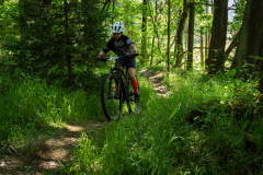 2023-06-25_113731_IMG_7543