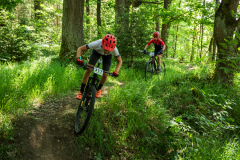 2023-06-25_113834_IMG_7556