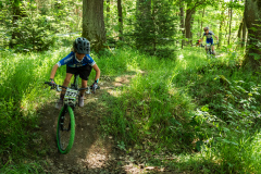 2023-06-25_113903_IMG_7569