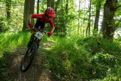 2023-06-25_113920_IMG_7574