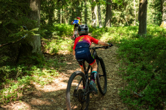 2023-06-25_114014_IMG_7581