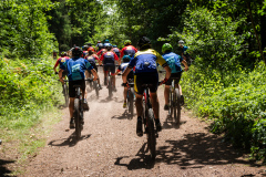 2023-06-25_115501_IMG_7612