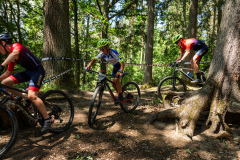 2023-06-25_115832_IMG_7690