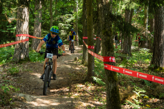 2023-06-25_121307_IMG_7750