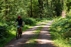 2023-06-25_121651_IMG_7755