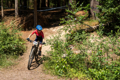 2023-06-25_121855_IMG_7775