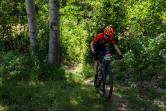 2023-06-25_132430_IMG_7854