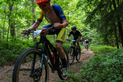 2023-06-25_133415_IMG_7869