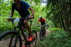 2023-06-25_133418_IMG_7876