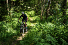 2023-06-25_143808_IMG_7976