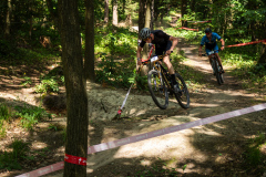 2023-06-25_150345_IMG_8065