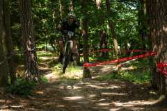 2023-06-25_151536_IMG_8085