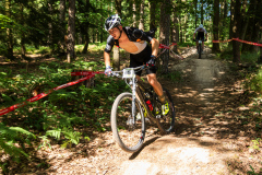 2023-06-25_153650_IMG_8135