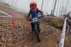 IMG-20241105-WA0008