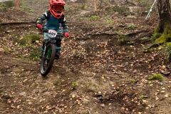 IMG-20241105-WA0073